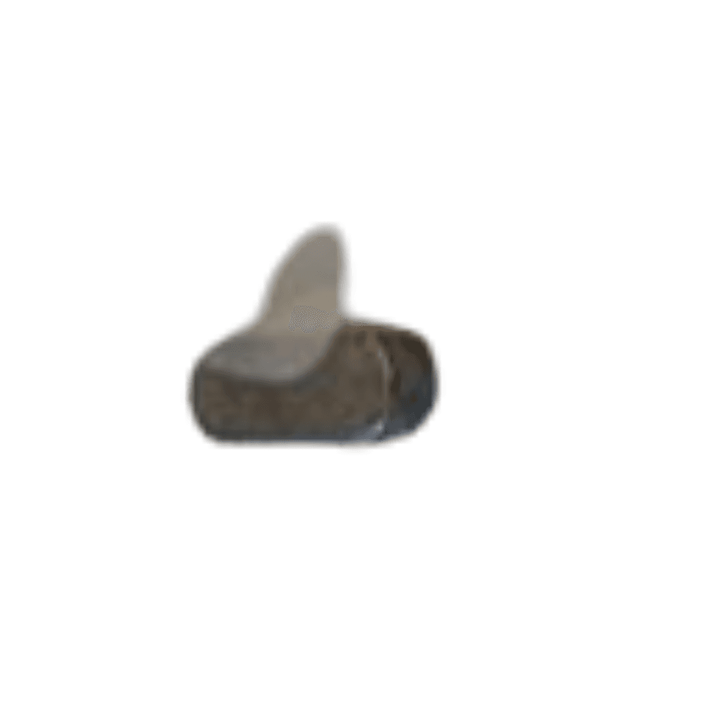 CLAVETTE POUR BATTEUR REX SPI 50