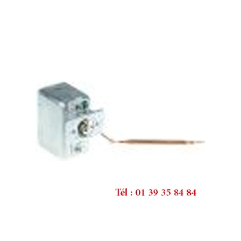 THERMOSTAT DE SECURITE - JUMO - Cuivre 230V