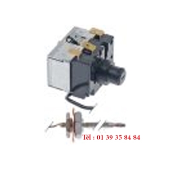 THERMOSTAT DE SECURITE - JUMO - Type 602031/80