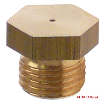 INJECTEUR -GICO - Ø trou 0.7 mm