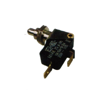 MICRORUPTEUR PORTE