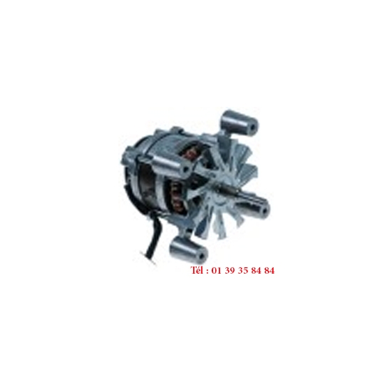 MOTEUR VENTILATEUR - BLUE SEAL - Type L5ow2B-317