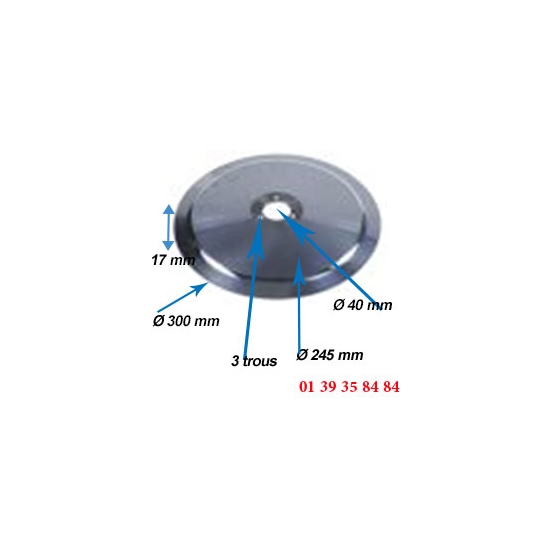 LAME COUPE JAMBON - OMAS - Ø  300 MM -