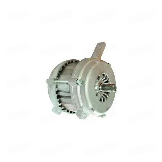 MOTEUR ADAPTABLE BOSTON POUR ECO300 GLOBUS250 MONOPHASE