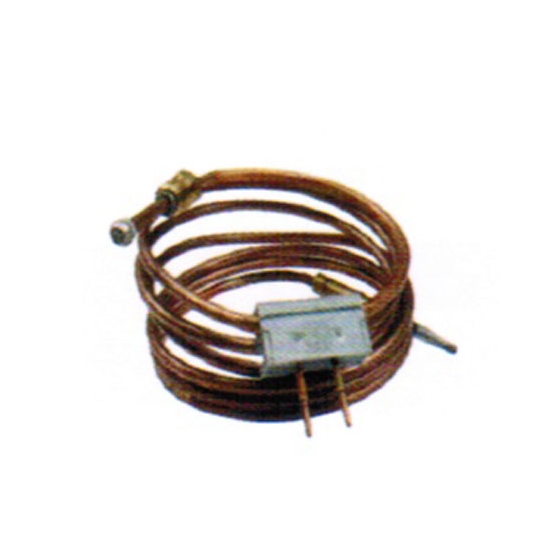 THERMOCOUPLE 500 MM AVEC INTERRUPTEUR