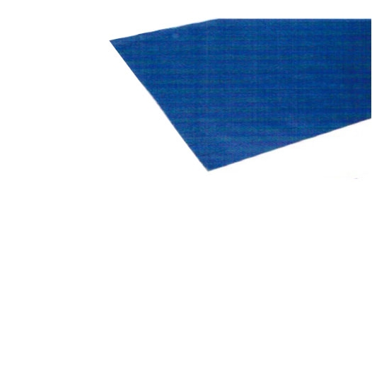 TAPIS TOILE PVC BLEU COMPATIBLE MERAND