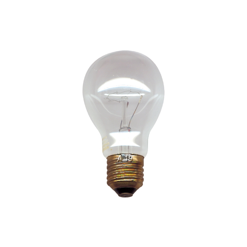 LAMPE-AMPOULE-FOUR-HAUTE TEMPERATURE -60W-24V 